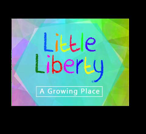 Little Liberty